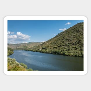 Vineyars in Douro Valley Sticker